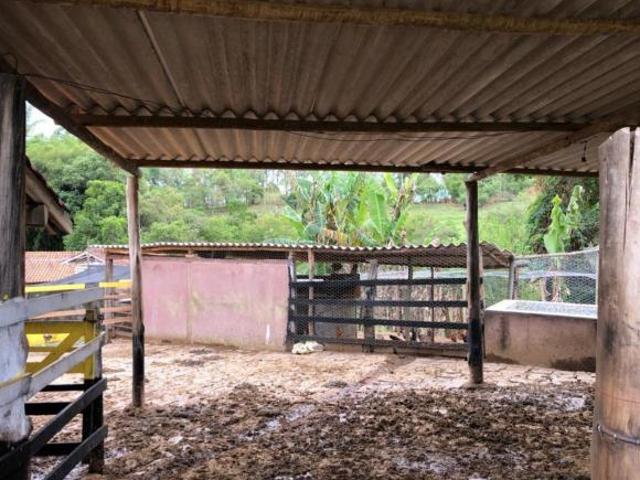 Sítio e chácara venda em Piracema