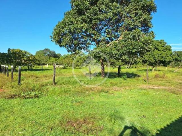 Sítio e chácara venda em Região Geográfica Imediata de Cuiabá, Região Metropolitana do Vale do Rio Cuiabá