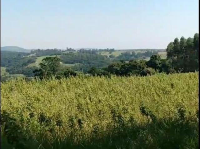Sítio e chácara venda em Vila São Lucio, Botucatu