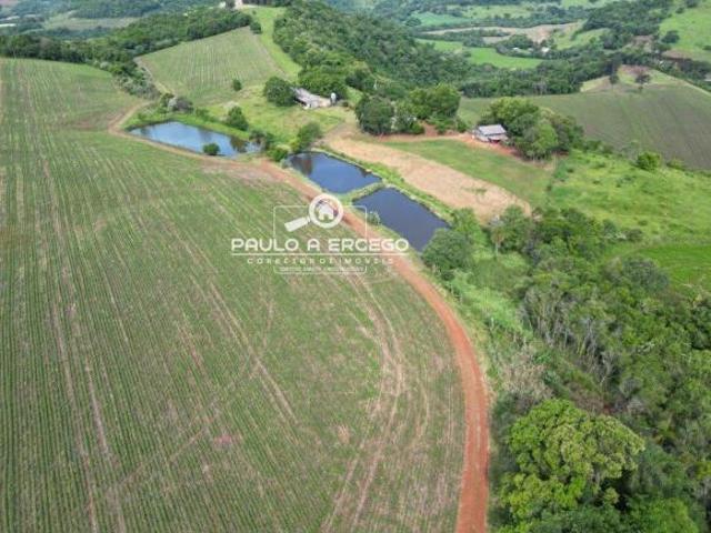 Sítio e chácara venda em Região Geográfica Imediata de Pato Branco, Região Sul