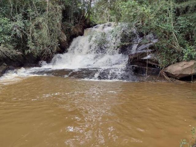 Sítio e chácara venda em Região Imediata de Taubaté-Pindamonhangaba, Região Metropolitana do Vale do Paraíba e Litoral Norte