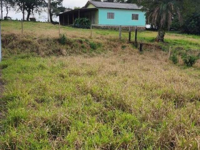 Sítio e chácara venda em Região Geográfica Imediata de Porto Alegre, Região Metropolitana de Porto Alegre
