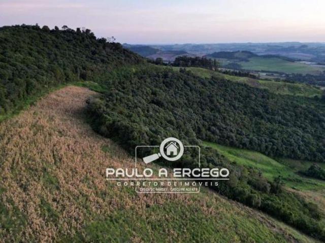 Sítio e chácara venda em Região Geográfica Imediata de Francisco Beltrão, Verê