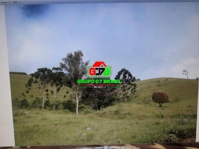 Sítio e chácara venda em Região Geográfica Imediata de São Lourenço, Virgínia