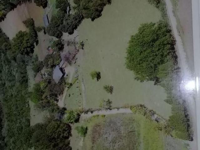 Sítio e chácara venda em Centro, Jaguariúna