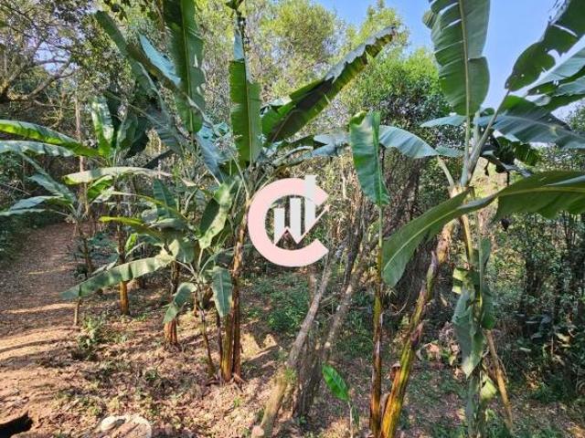 Sítio e chácara venda em Região Geográfica Imediata de São Lourenço, Soledade de Minas