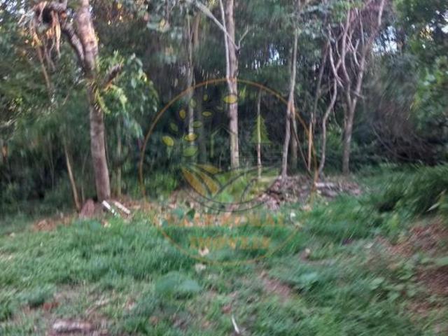 Sítio e chácara venda em Região Geográfica Imediata de Juiz de Fora, Arantina