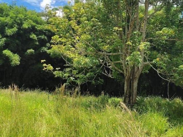Sítio e chácara venda em Piracema