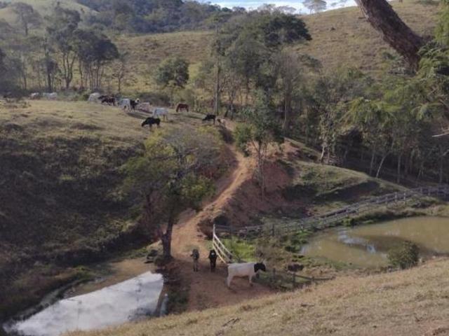 Sítio e chácara venda em Região Imediata de Guaratinguetá, Região Metropolitana do Vale do Paraíba e Litoral Norte