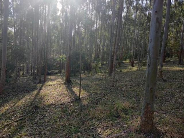 Sítio e chácara venda em Região Imediata de Itapetininga, Região Metropolitana de Sorocaba