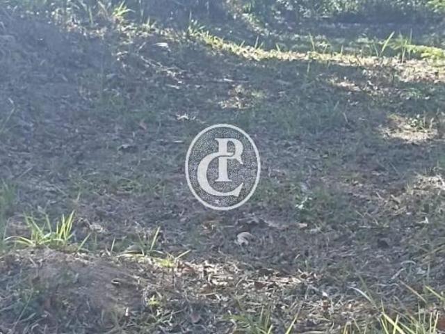 Sítio e chácara venda em Região Imediata de Campinas, Região Metropolitana de Campinas