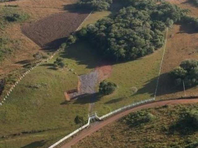 Sítio e chácara venda em Região Geográfica Imediata de Caxias do Sul, Caxias do Sul