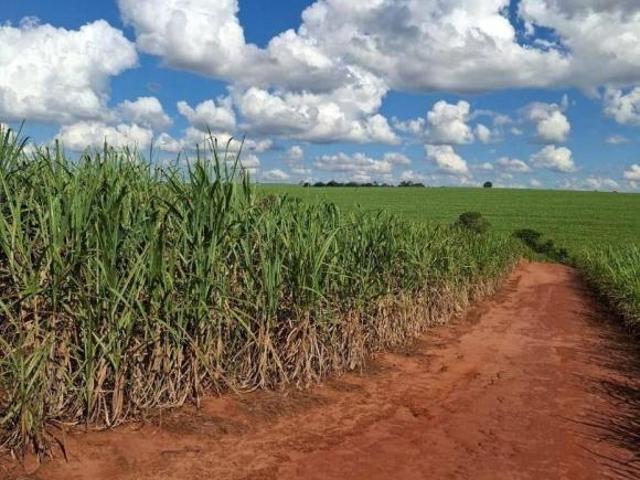 Sítio e chácara venda em Região Geográfica Imediata de Paranacity-Colorado, Santa Inês