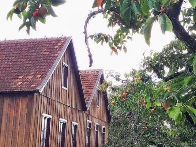Sítio e chácara venda em Região Geográfica Imediata de Bento Gonçalves, Garibaldi