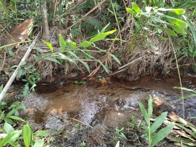 Sítio e chácara venda em Região Geográfica Imediata de Oliveira, Piracema