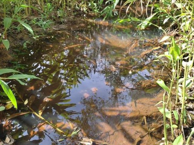Sítio e chácara venda em Região Geográfica Imediata de Oliveira, Piracema