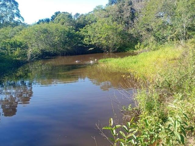 Sítio e chácara venda em Região Geográfica Imediata de Porto Alegre, Região Metropolitana de Porto Alegre