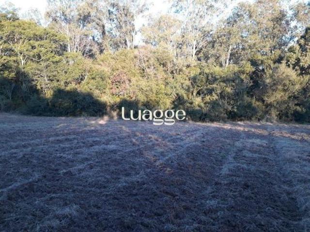 Sítio e chácara venda em Região Geográfica Imediata de Porto Alegre, Região Metropolitana de Porto Alegre