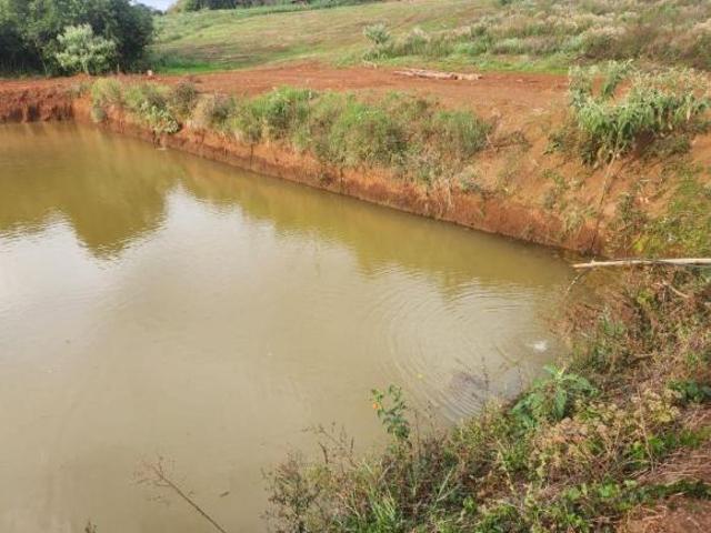 Sítio e chácara venda em Região Geográfica Imediata de Cruz Alta, Cruz Alta