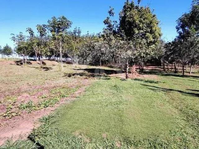 Sítio e chácara venda em Região Imediata de Barretos, Região Metropolitana de São José do Rio Preto