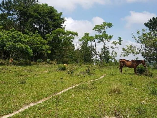 Sítio e chácara venda em Região Imediata de Itapetininga, Região Metropolitana de Sorocaba