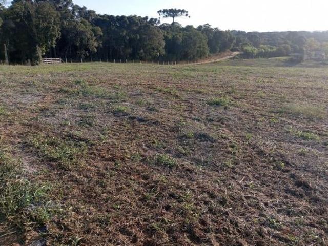 Sítio e chácara venda em Região Geográfica Imediata de Curitiba, Região Metropolitana de Curitiba