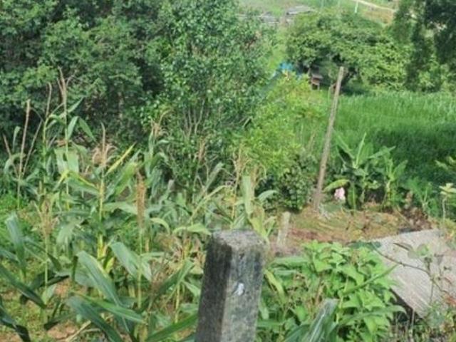 Sítio e chácara venda em Região Imediata de Taubaté-Pindamonhangaba, Região Metropolitana do Vale do Paraíba e Litoral Norte