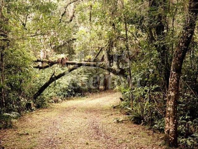 Sítio e chácara venda em Região Geográfica Imediata de Tramandaí - Osório, Aglomeração Urbana do Litoral Norte