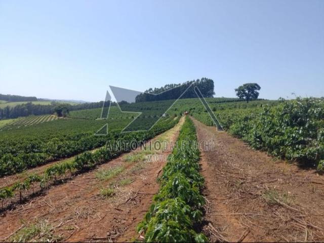 Ponto Comercial venda em Região Geográfica Imediata de Poços de Caldas, Botelhos