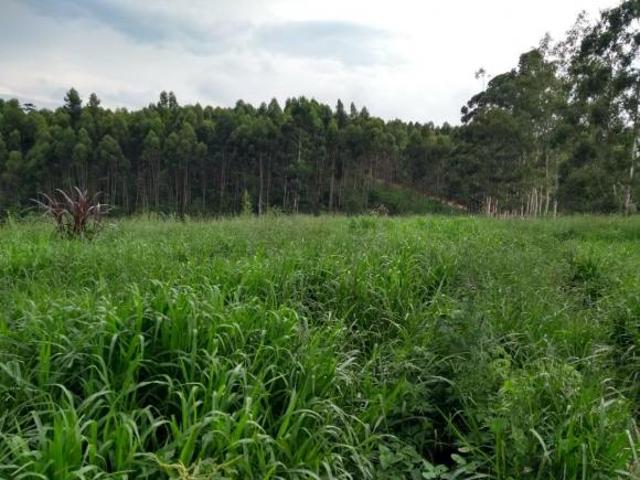 Sítio e chácara venda em Região Imediata de Itapetininga, Região Metropolitana de Sorocaba