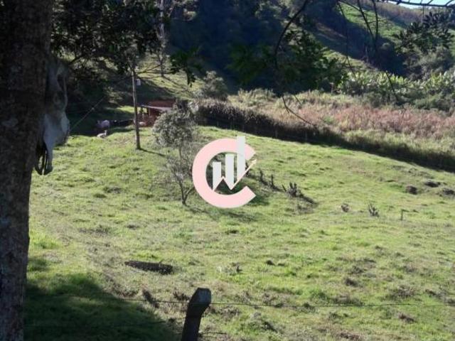 Sítio e chácara venda em Região Geográfica Imediata de São Lourenço, Carmo de Minas