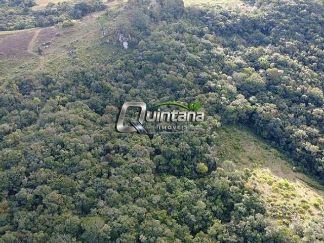 Sítio e chácara venda em Região Geográfica Imediata de Pelotas, Canguçu