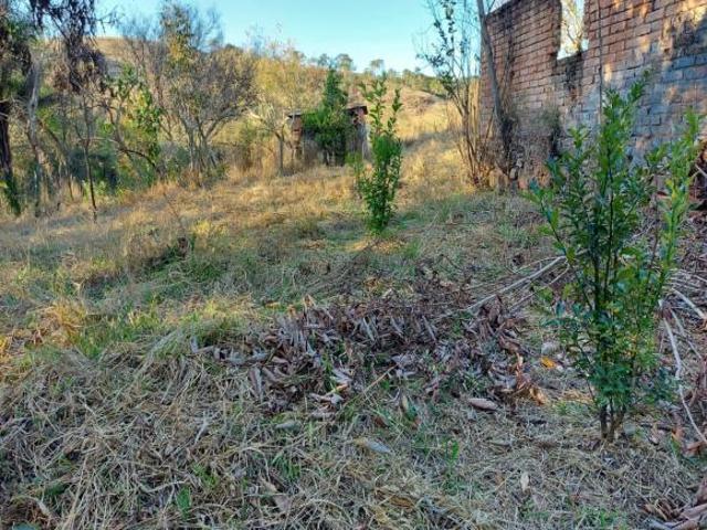 Sítio e chácara venda em Vila São Vicente, Entre Rios de Minas