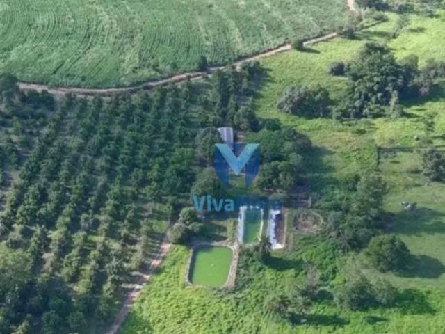 Sítio e chácara venda em Região Imediata de São José do Rio Preto, Região Metropolitana de São José do Rio Preto