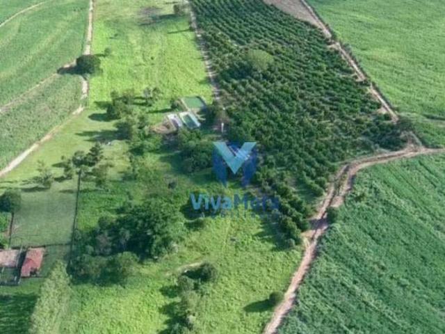 Sítio e chácara venda em Região Imediata de São José do Rio Preto, Região Metropolitana de São José do Rio Preto