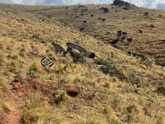 Sítio e chácara venda em Região Geográfica Imediata de Pouso Alegre, Bueno Brandão