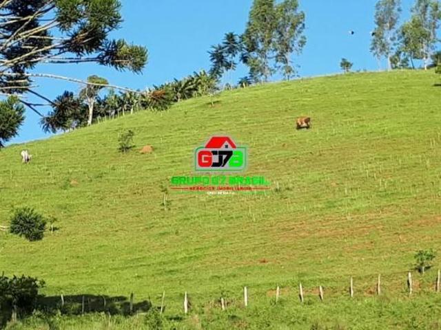 Sítio e chácara venda em Região Geográfica Imediata de São Lourenço, Virgínia