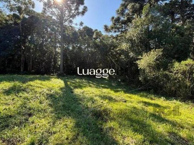 Sítio e chácara venda em Região Geográfica Imediata de Caxias do Sul, Caxias do Sul