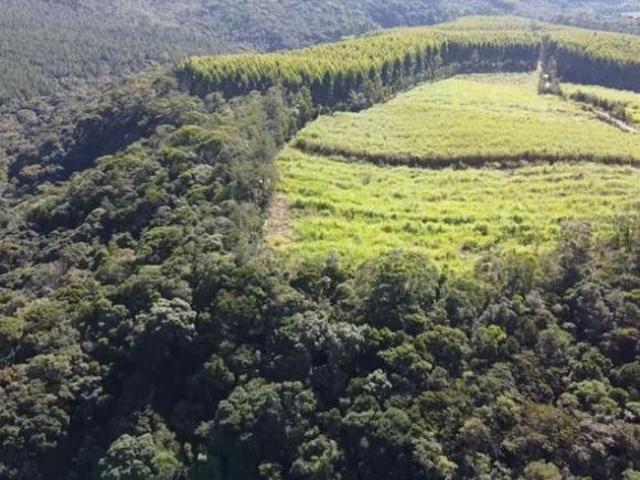 Sítio e chácara venda em Região Imediata de Itapetininga, Região Metropolitana de Sorocaba