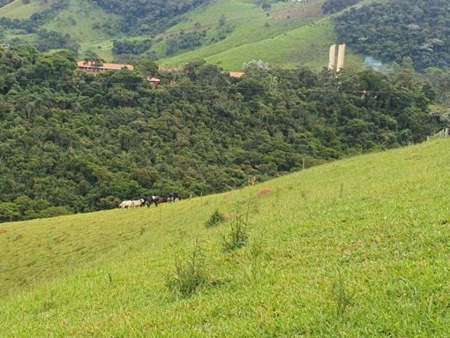 Sítio e chácara venda em Região Geográfica Imediata de São Lourenço, Virgínia