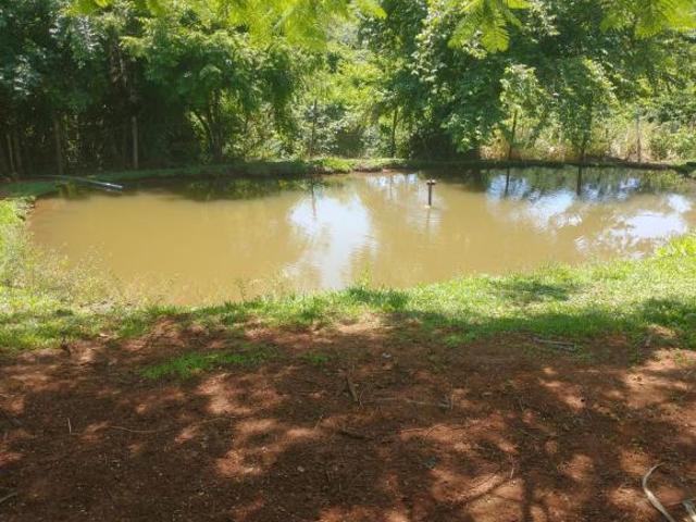Sítio e chácara venda em Região Imediata de Ribeirão Preto, Região Metropolitana de Ribeirão Preto