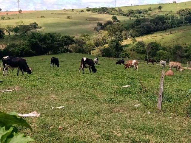 Sítio e chácara venda em Centro, Angatuba