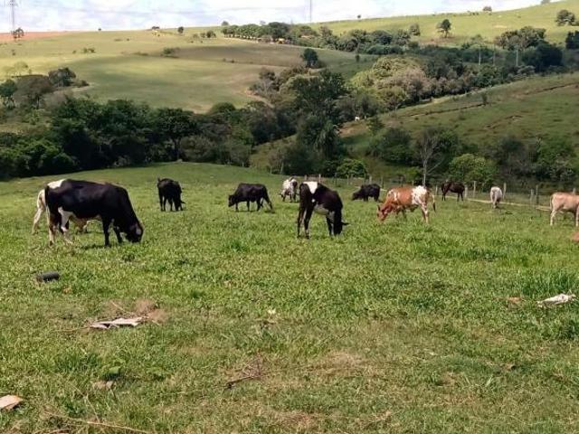 Sítio e chácara venda em Região Imediata de Itapetininga, Angatuba