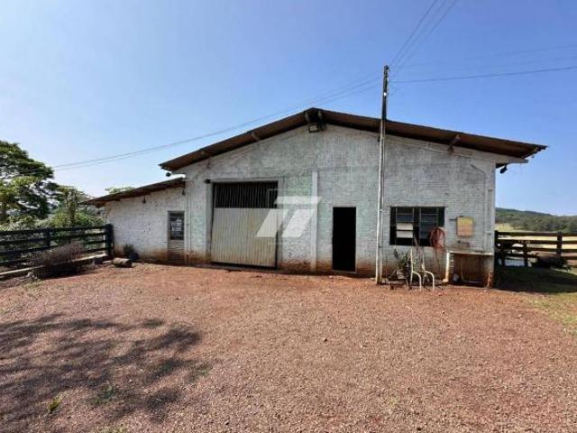 Sítio e chácara venda em Região Geográfica Imediata de Cascavel, Lindoeste