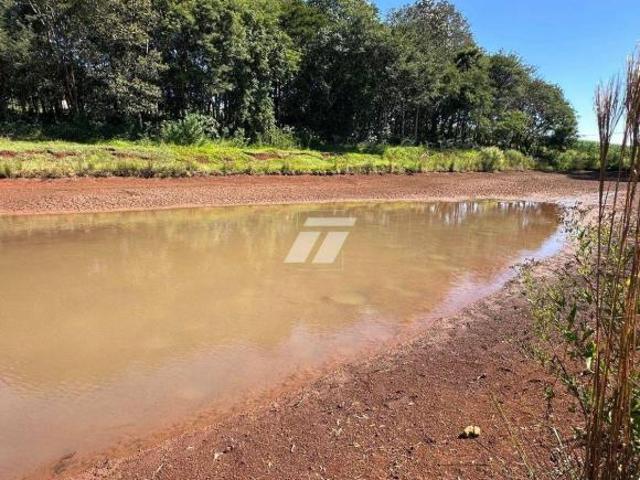 Sítio e chácara venda em Região Geográfica Imediata de Cascavel, Cascavel