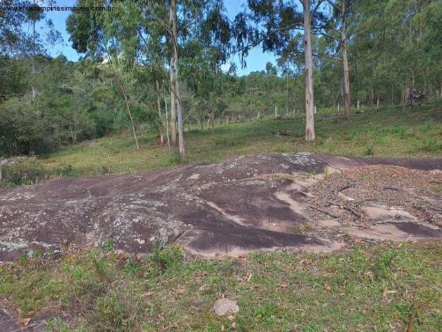 Sítio e chácara venda em Região Geográfica Imediata de Pouso Alegre, Senador Amaral