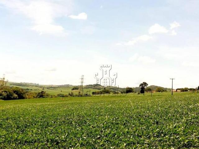 Sítio e chácara venda em Região Geográfica Imediata de Londrina, Londrina