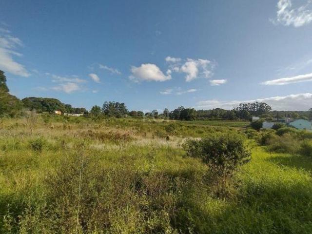 Sítio e chácara venda em Região Geográfica Imediata de Porto Alegre, Região Metropolitana de Porto Alegre
