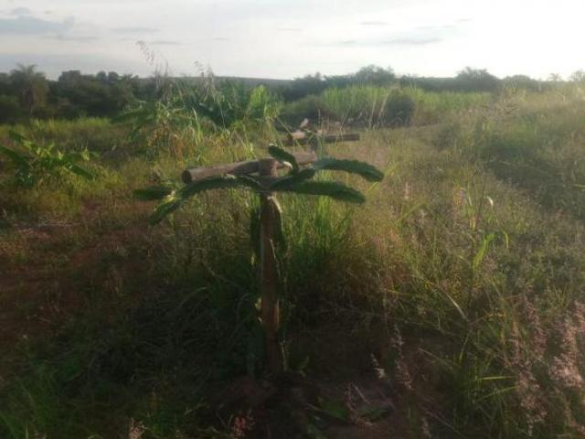 Sítio e chácara venda em Região Imediata de Campinas, Região Metropolitana de Campinas