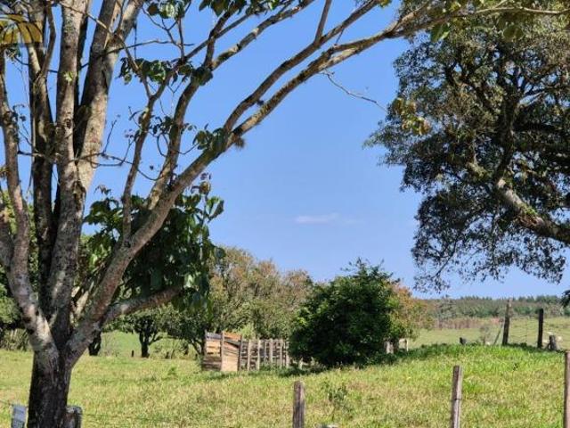 Sítio e chácara venda em Sarapuí